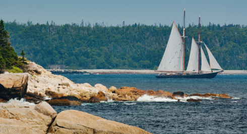 Bluenose II ship sailing in the harbour