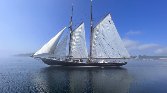 Film work and harbour cruises