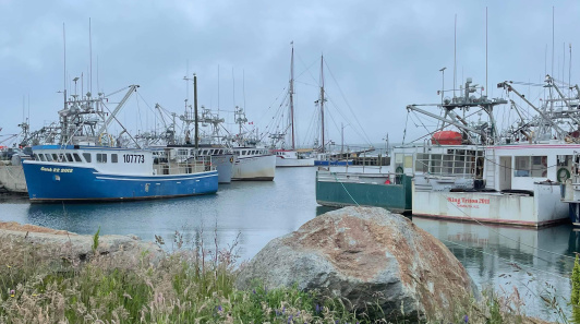 A memorable trip to Southwest Nova Scotia