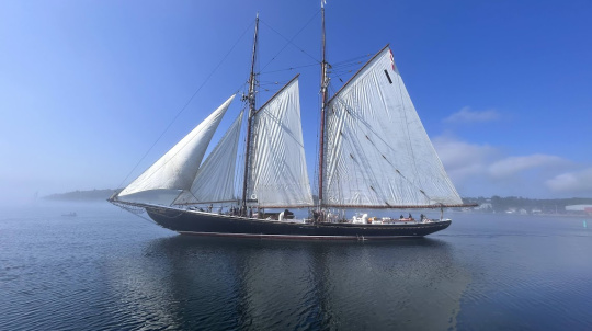 Film work and harbour cruises